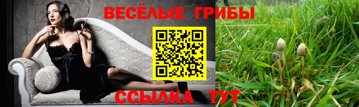 Кимовск  Псилоцибиновые грибы Psilocybe  Галлюциногенные грибы ЛСД  Вход с VPN 