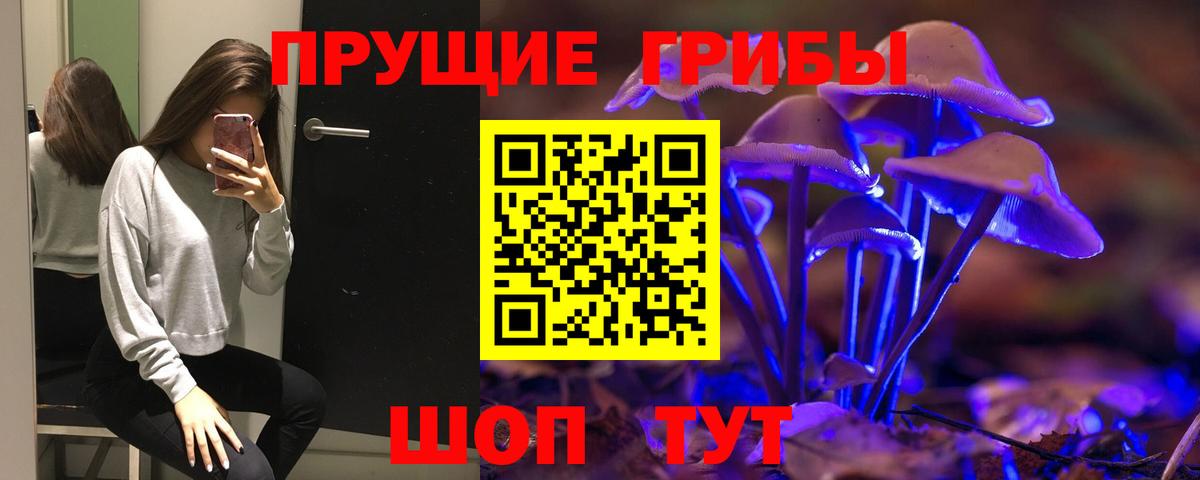 Галлюциногенные грибы Magic Shrooms Кимовск